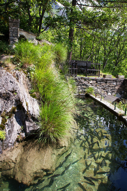 מונצ'ניזיו Chalet Sul Lago Hotel In Montagna מראה חיצוני תמונה