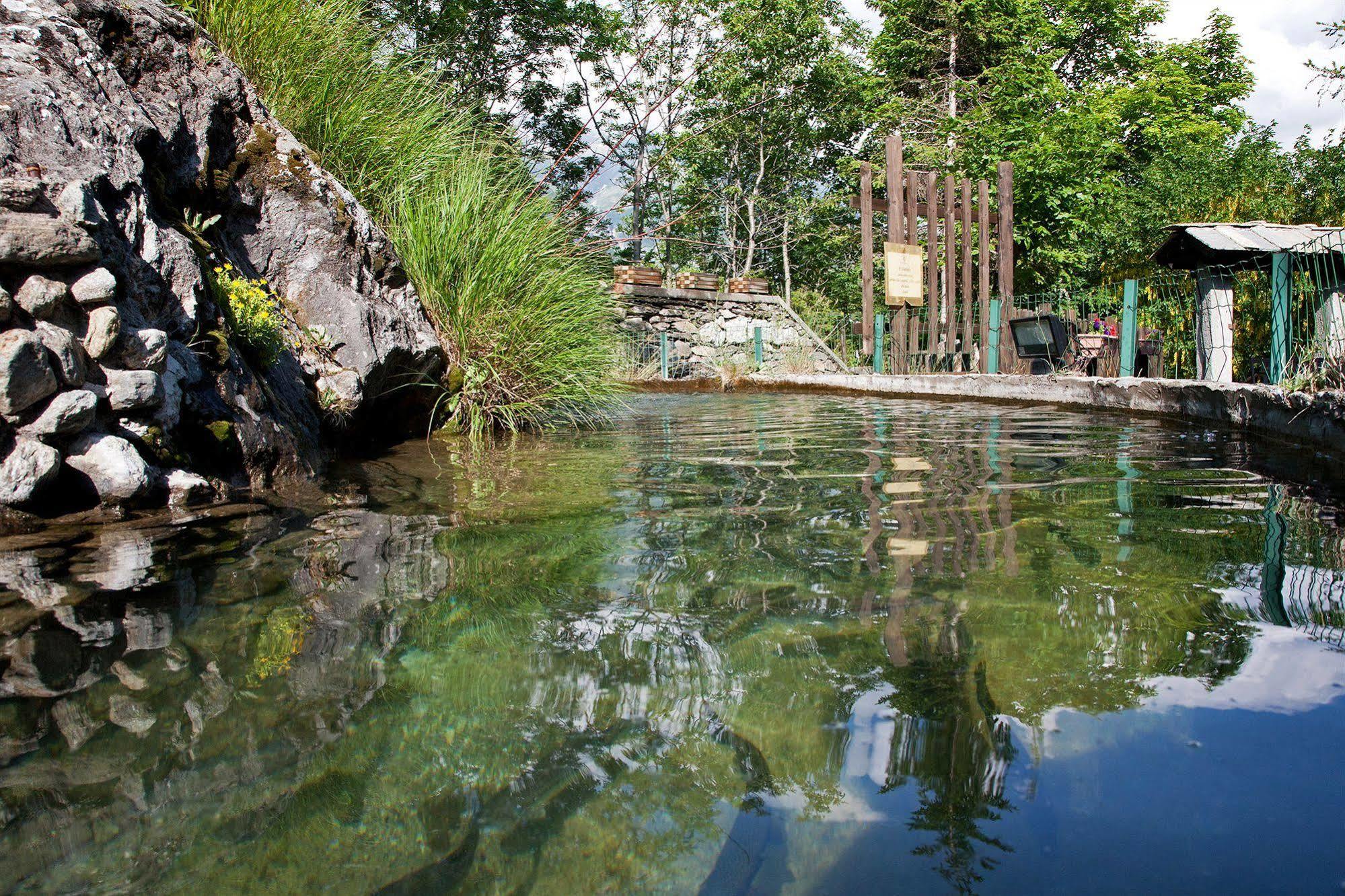 מונצ'ניזיו Chalet Sul Lago Hotel In Montagna מראה חיצוני תמונה